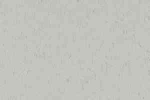 Линолеум Forbo Marmoleum Solid Piano 3629-362935 frosty grey фото  | FLOORDEALER